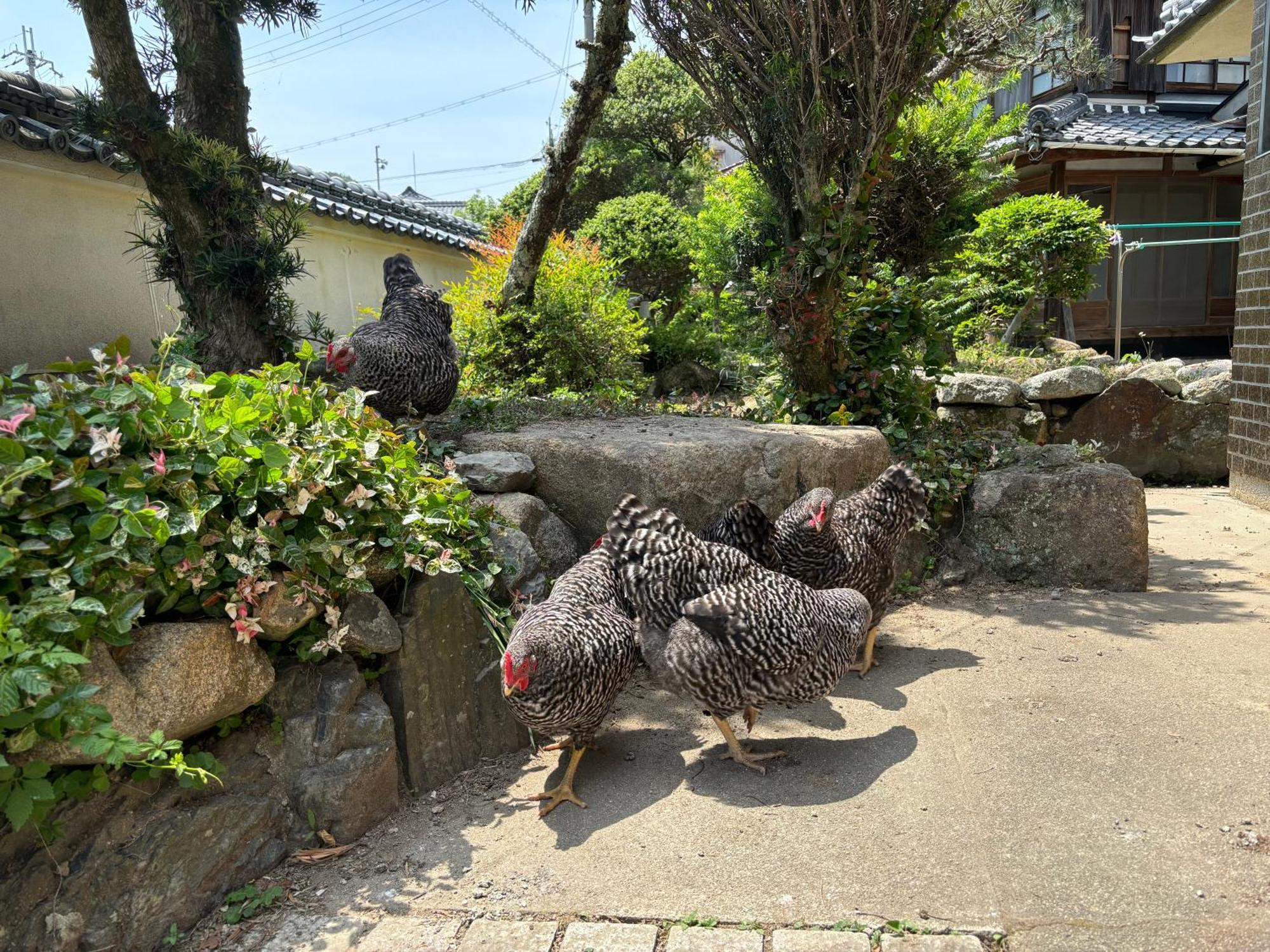 Osaka Nose Farmer'S Guest House　Yasuda Farm Exterior foto
